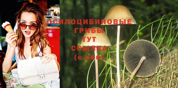 ешки Алзамай