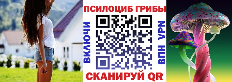 Галлюциногенные грибы мицелий  Арамиль 